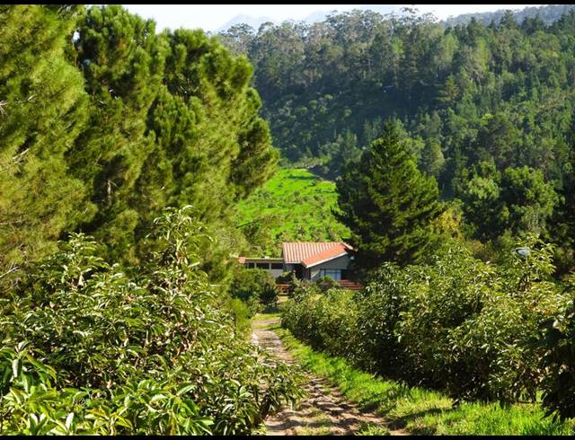 FARM FOR SALE IN RONDEVLEI